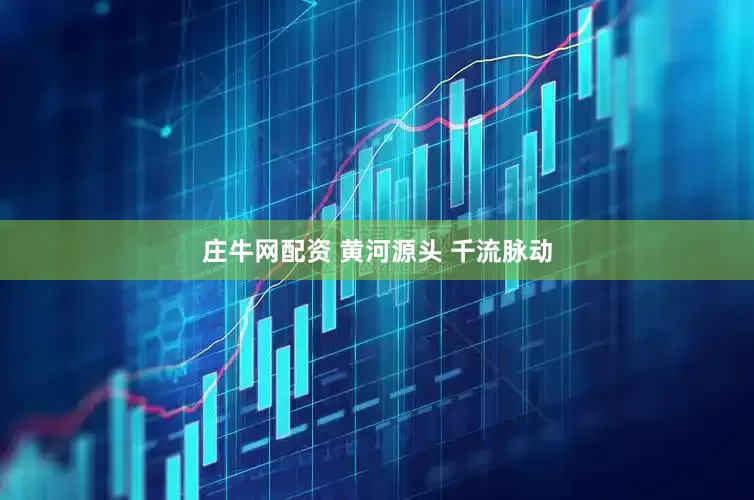 庄牛网配资 黄河源头 千流脉动