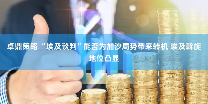 卓鼎策略 “埃及谈判”能否为加沙局势带来转机 埃及斡旋地位凸显
