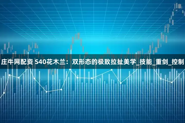 庄牛网配资 S40花木兰:双形态的极致拉扯美学_技能_重剑_控制